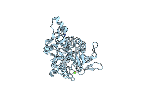 6FZD image