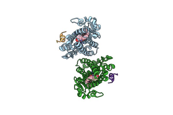 6FZF image