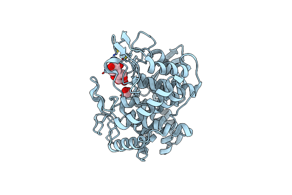 6G09 image