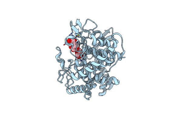 6G0B image