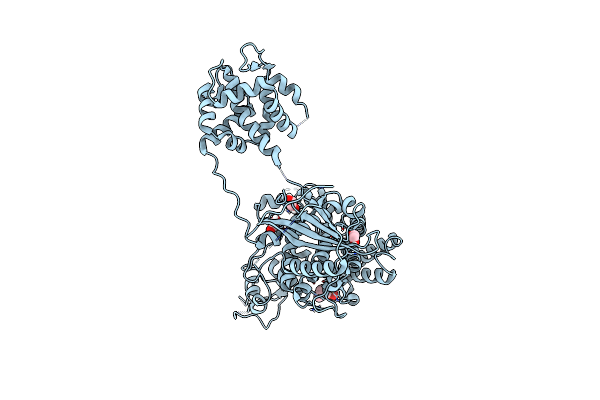 6G0C image