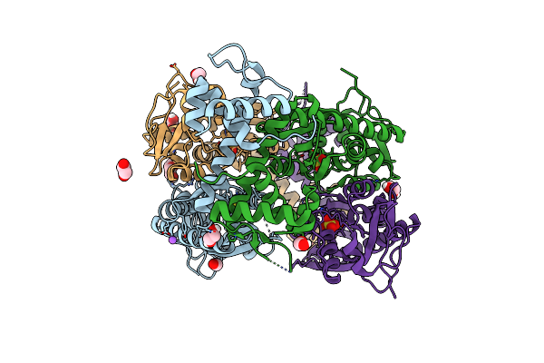 6G1D image