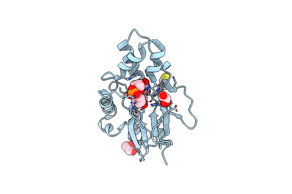 6G22 image
