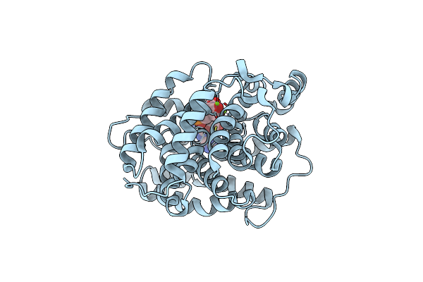 6G28 image