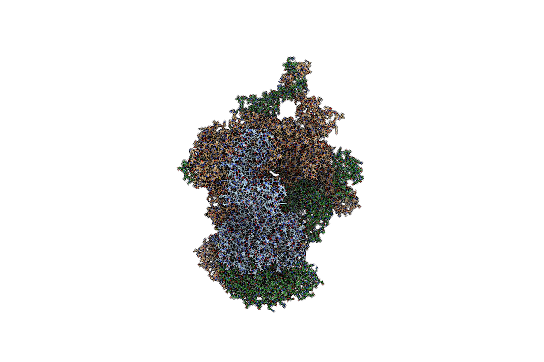 6G2D image