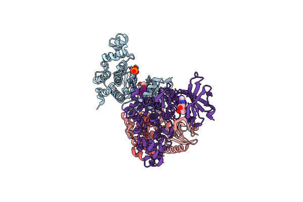 6G33 image