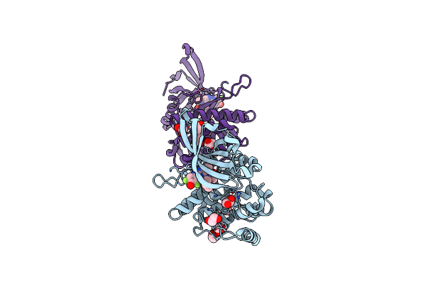 6G3C image
