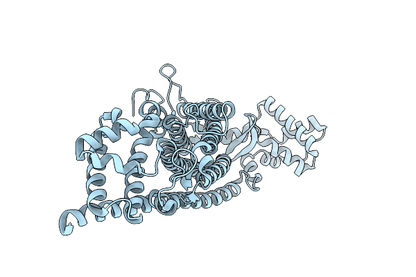 6G3D image