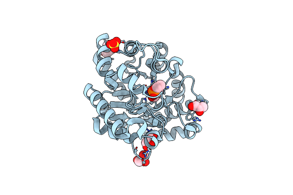 6G3M image