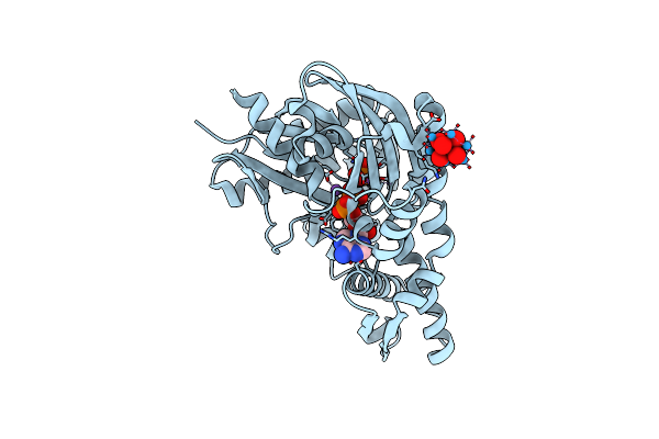 6G3R image
