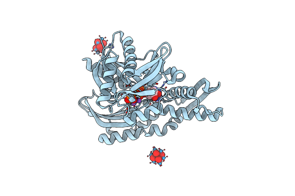 6G3S image