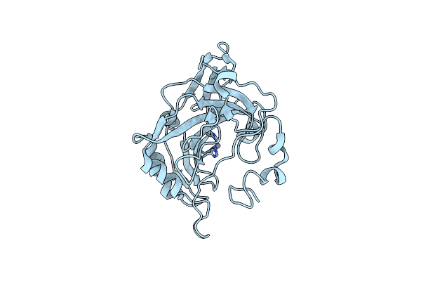 6G4T image