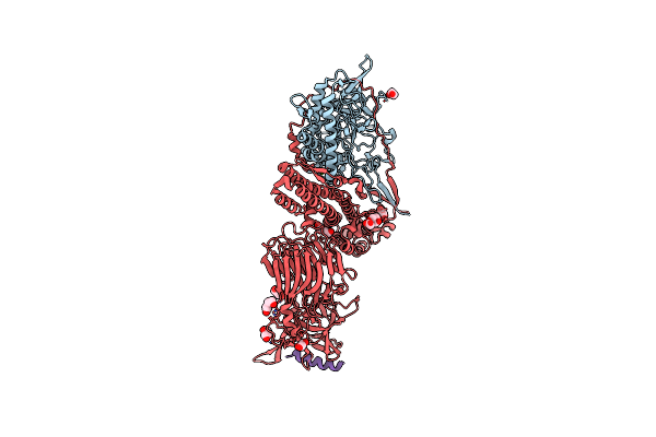 6G5G image