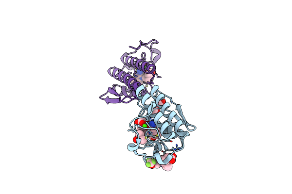 6G5J image