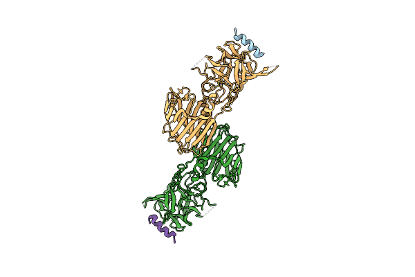 6G5K image