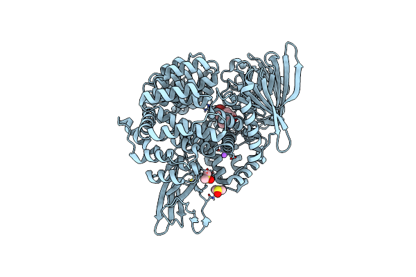 6G8B image