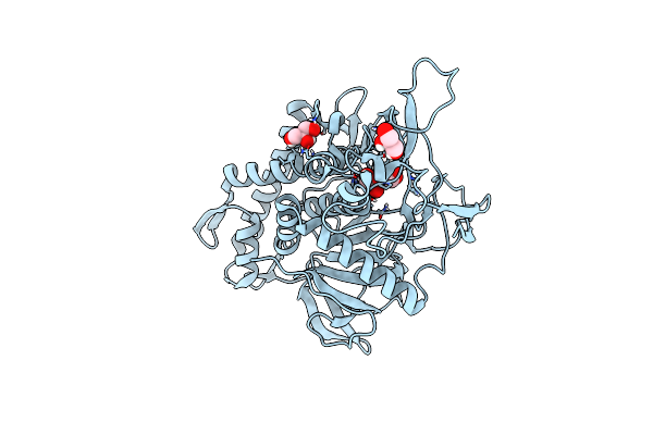 6G8V image