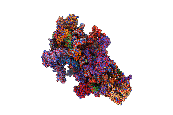 6GAZ image
