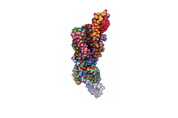 6GBO image