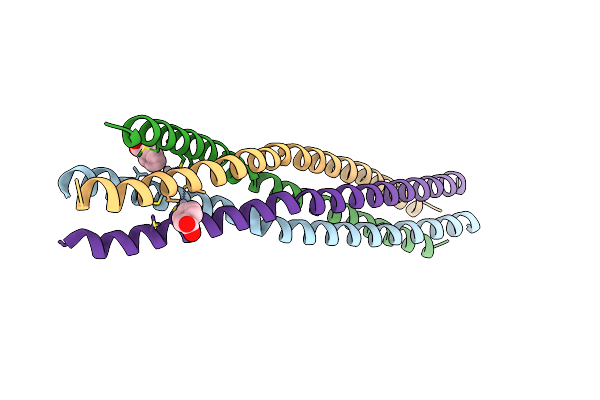 6GBR image