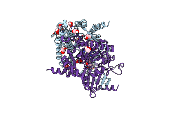 6GBS image