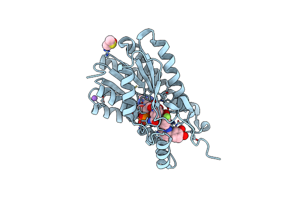6GBT image