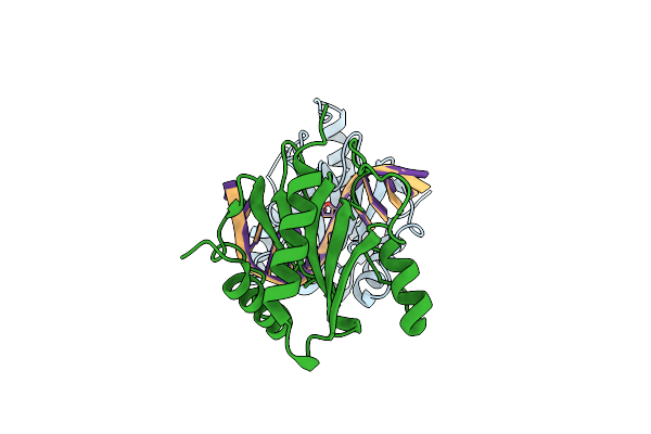 6GCD image