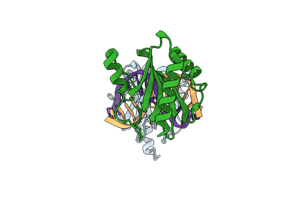6GCF image
