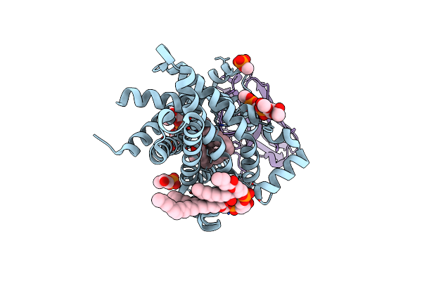 6GCI image