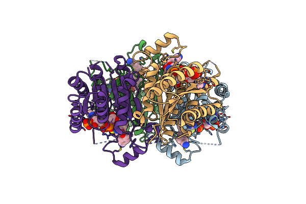 6GCK image