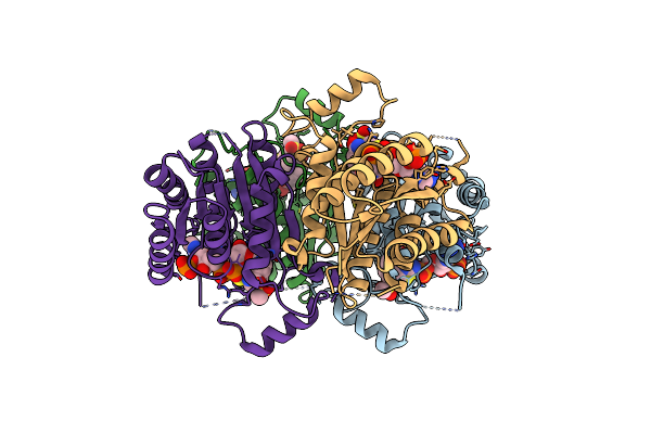 6GCL image