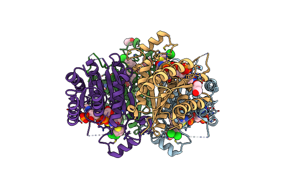 6GCP image