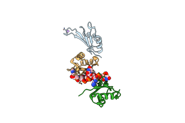 6GD3 image