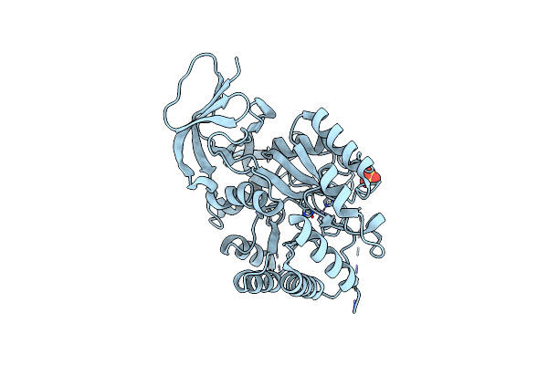 6GDD image