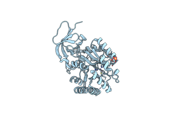 6GDF image