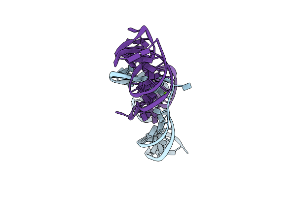 6GDN image