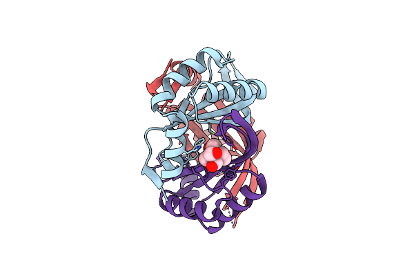 6GDV image