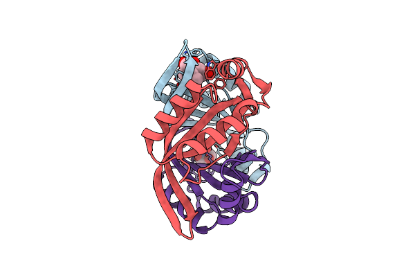 6GDW image