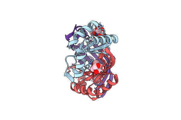 6GDX image