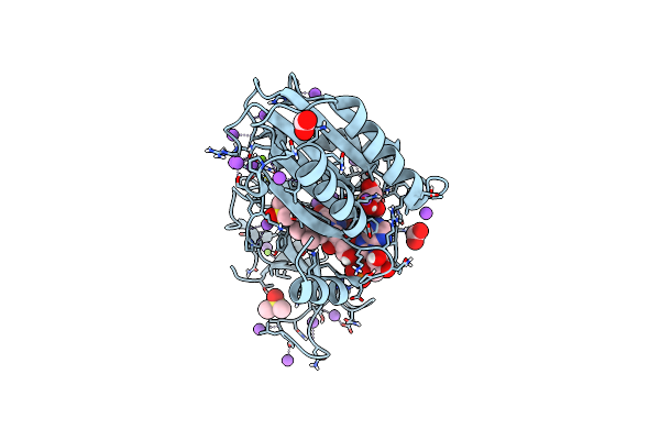 6GEH image