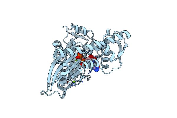 6GFA image