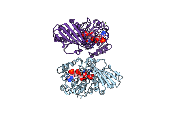 6GFP image