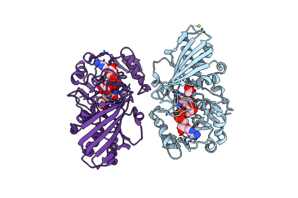 6GFR image