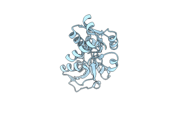 6GGP image