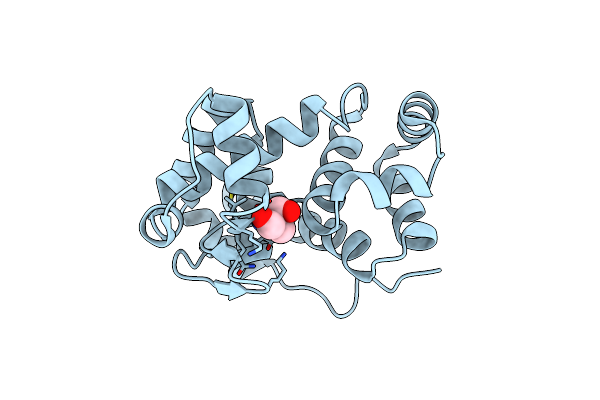6GI4 image