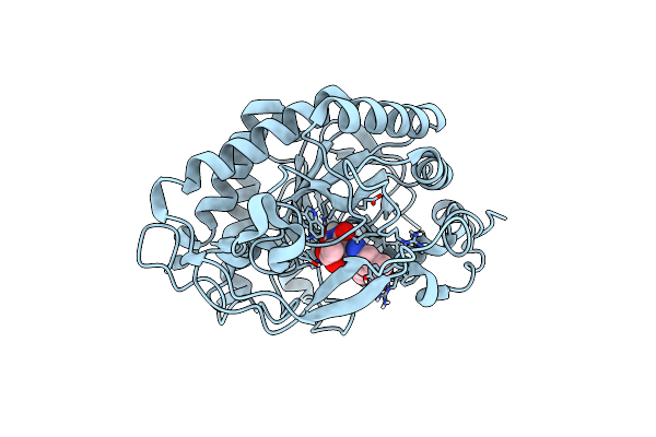 6GI8 image
