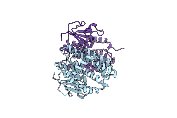 6GIB image