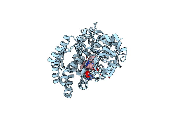 6GII image