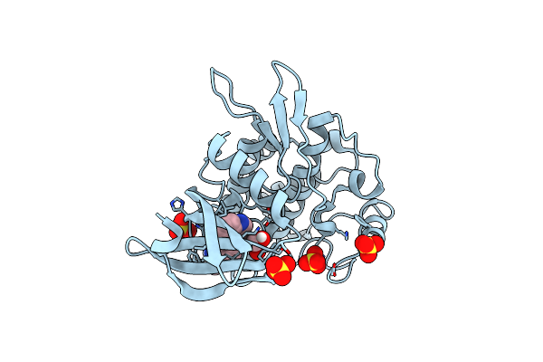 6GIP image