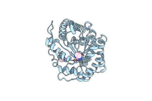 6GL2 image